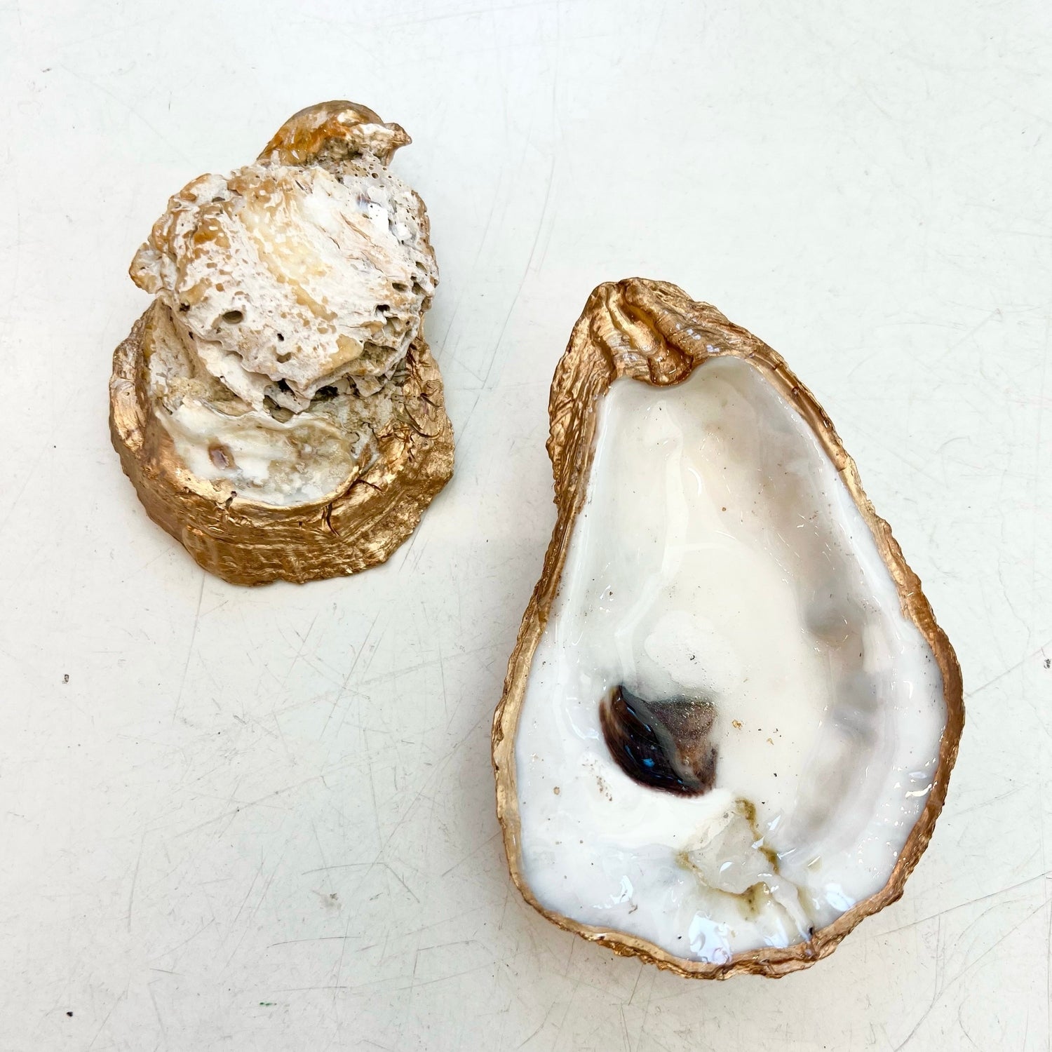 Oyster Dish